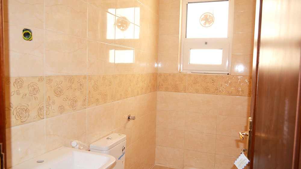 تضامن سيتي 1